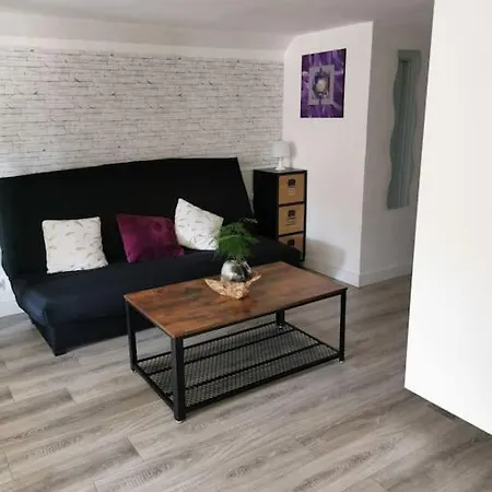 5 Personnes Avec Piscine 60m2 Le Barp