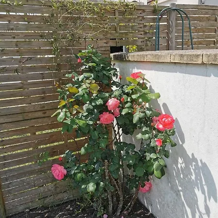 5 Personnes Avec Piscine 60m2 Apartment Le Barp