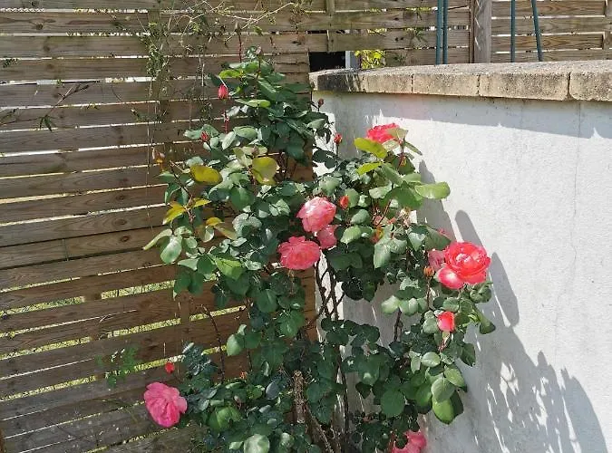 5 Personnes Avec Piscine 60m2 アパート Le Barp